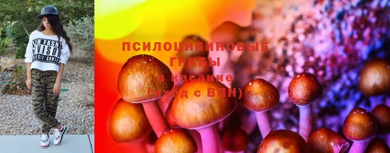 Галлюциногенные грибы MAGIC MUSHROOMS  Вятские Поляны 